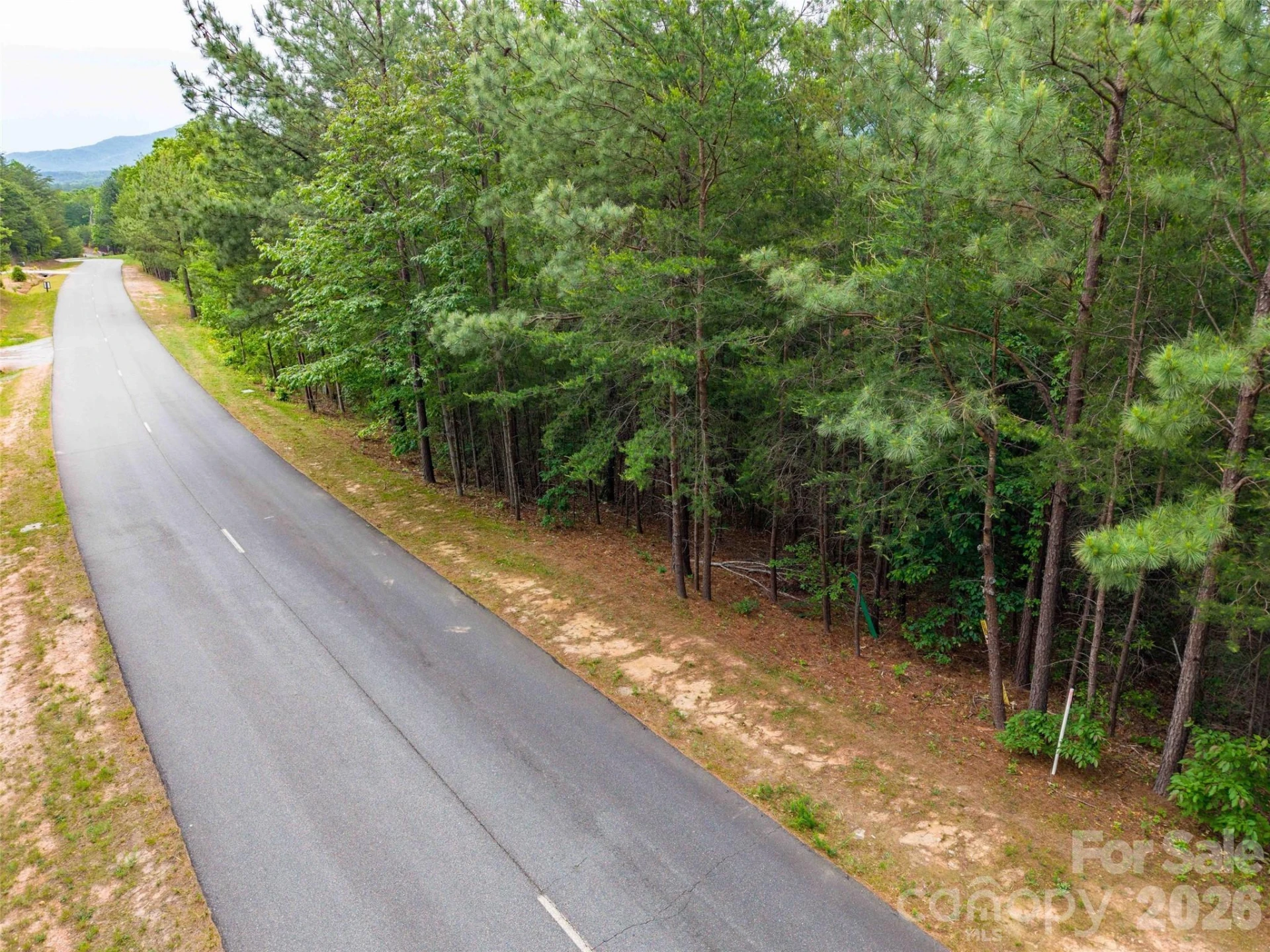 LOT 2009 Deep Gap Farm Road W - Photo 4