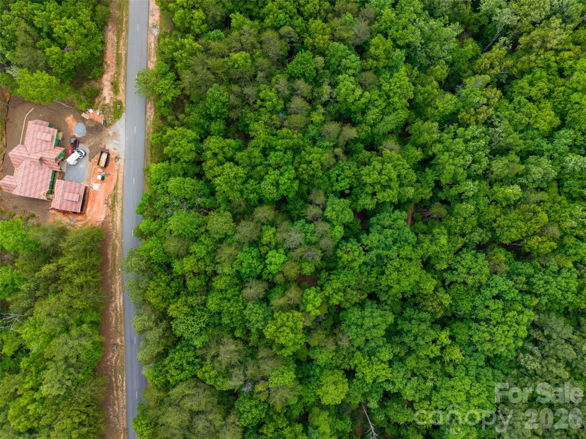 LOT 2009 Deep Gap Farm Road W - Photo 6