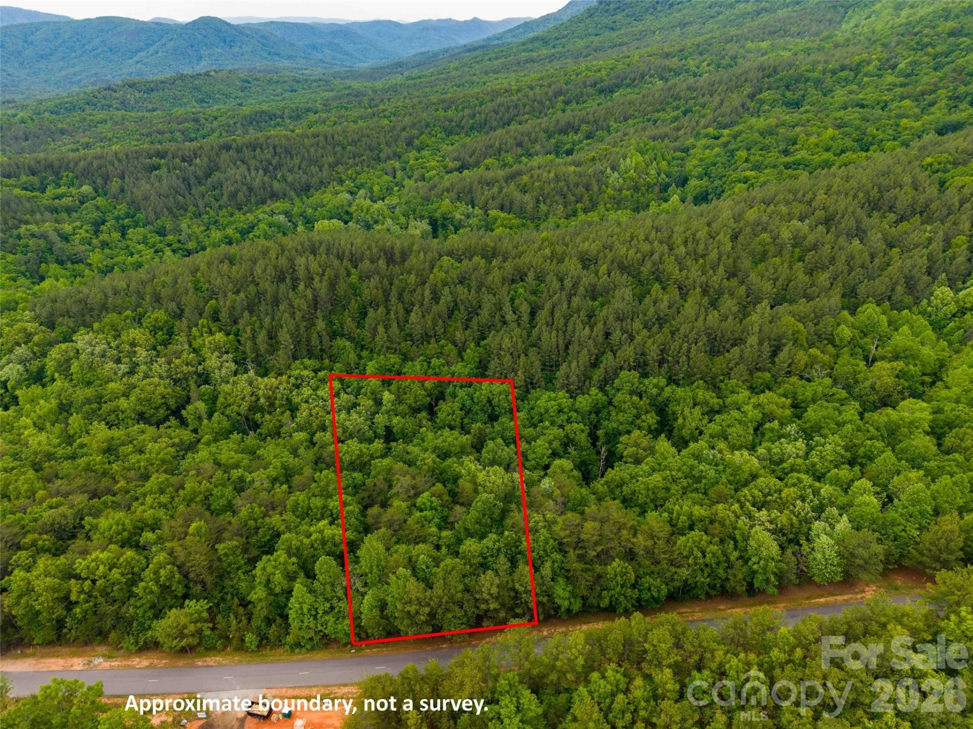 LOT 2009 Deep Gap Farm Road W - Photo 7