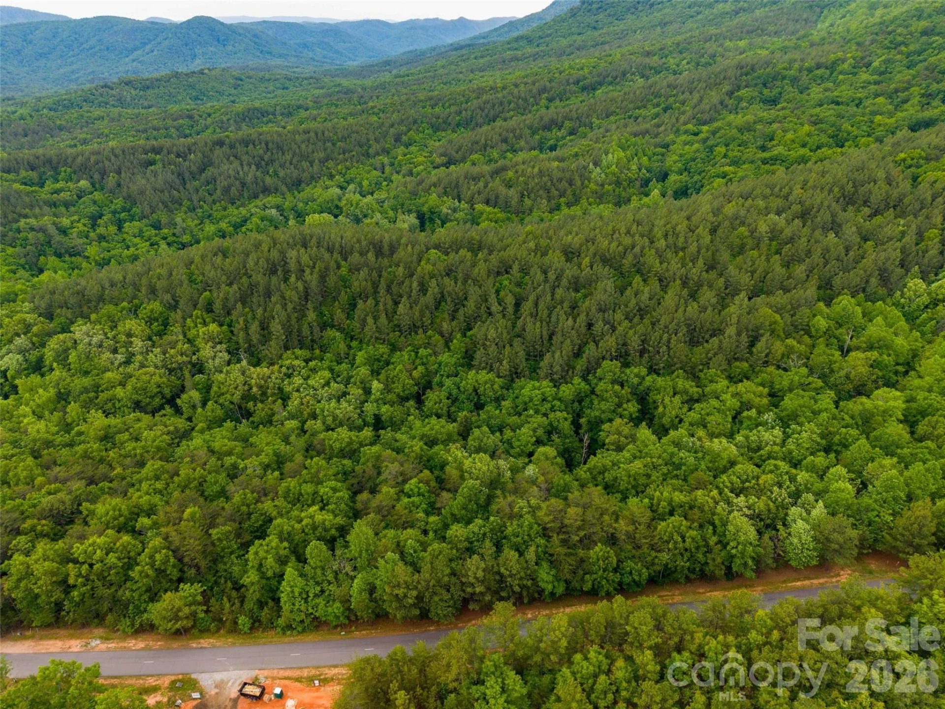 LOT 2009 Deep Gap Farm Road W - Photo 8