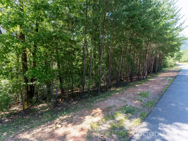 Lot 2006 Deep Gap Farm Road W, Mill Spring, NC, 28756