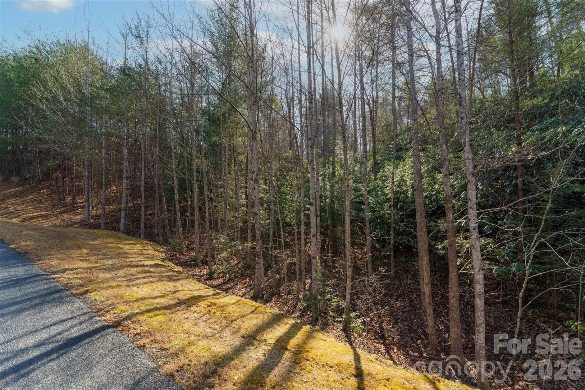 265 Harborside Drive #250 - Photo 3