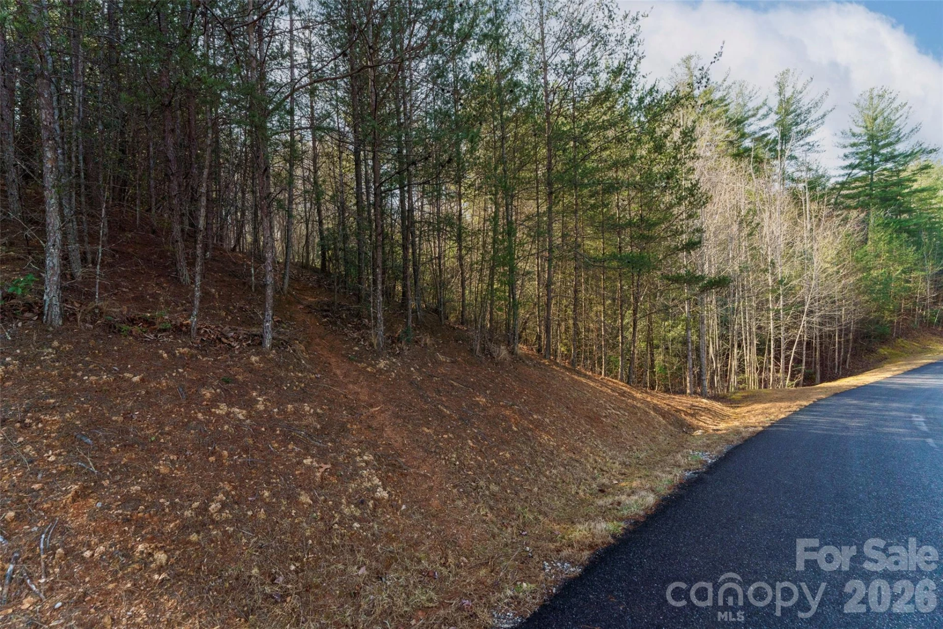265 Harborside Drive #250 - Photo 4