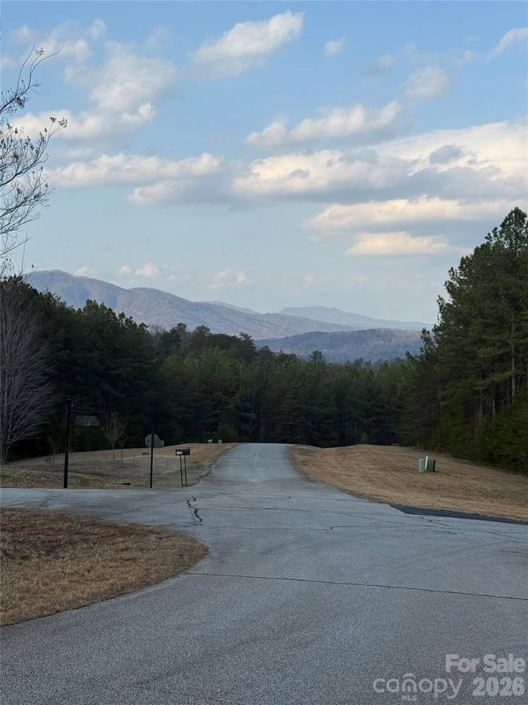 109 Spring Hollow Road #10 - Photo 2