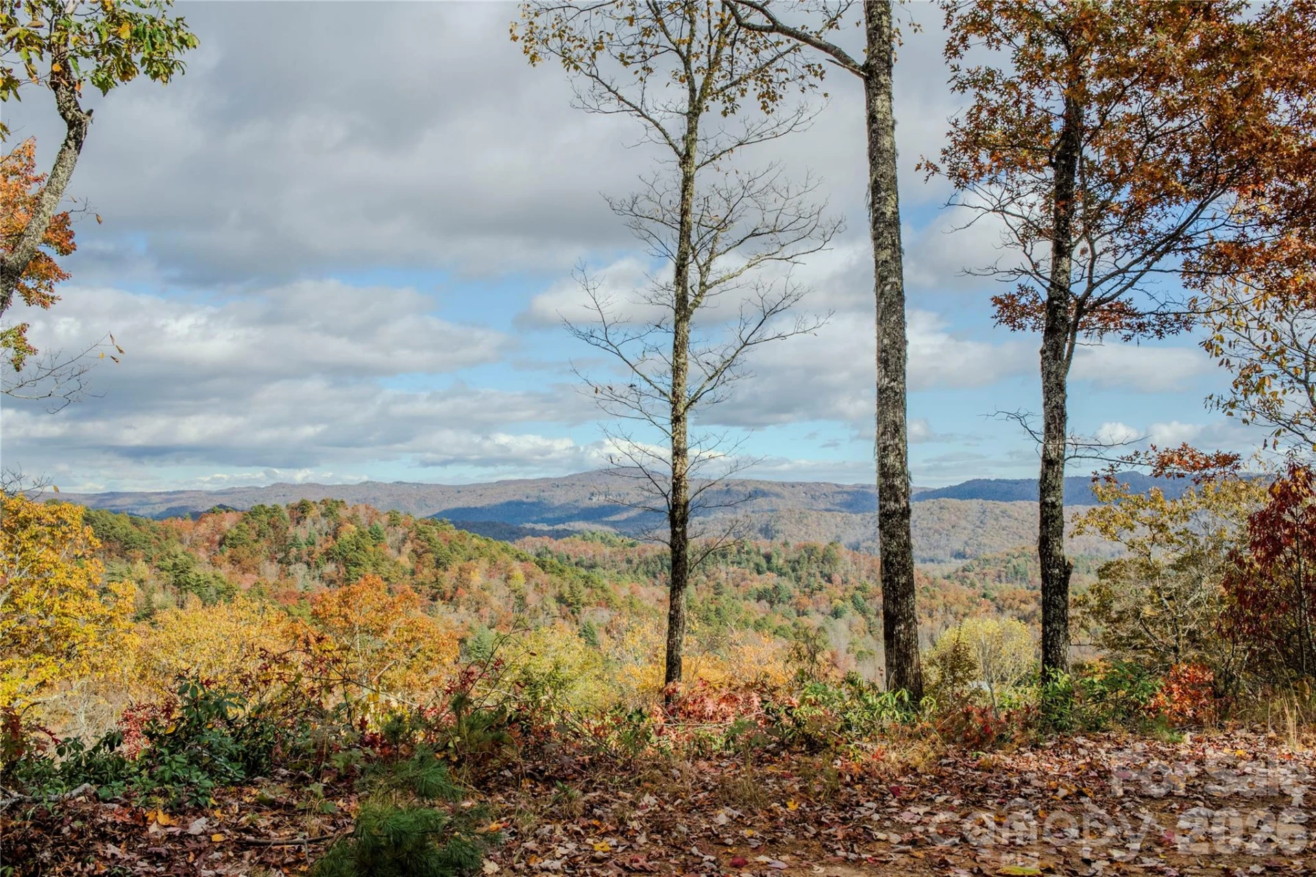 195 Still Waters Lane - Photo 2