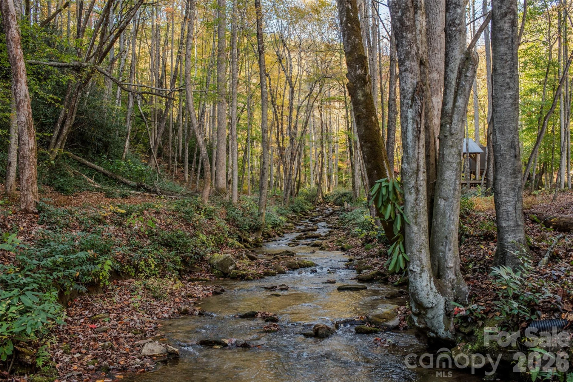 195 Still Waters Lane - Photo 43