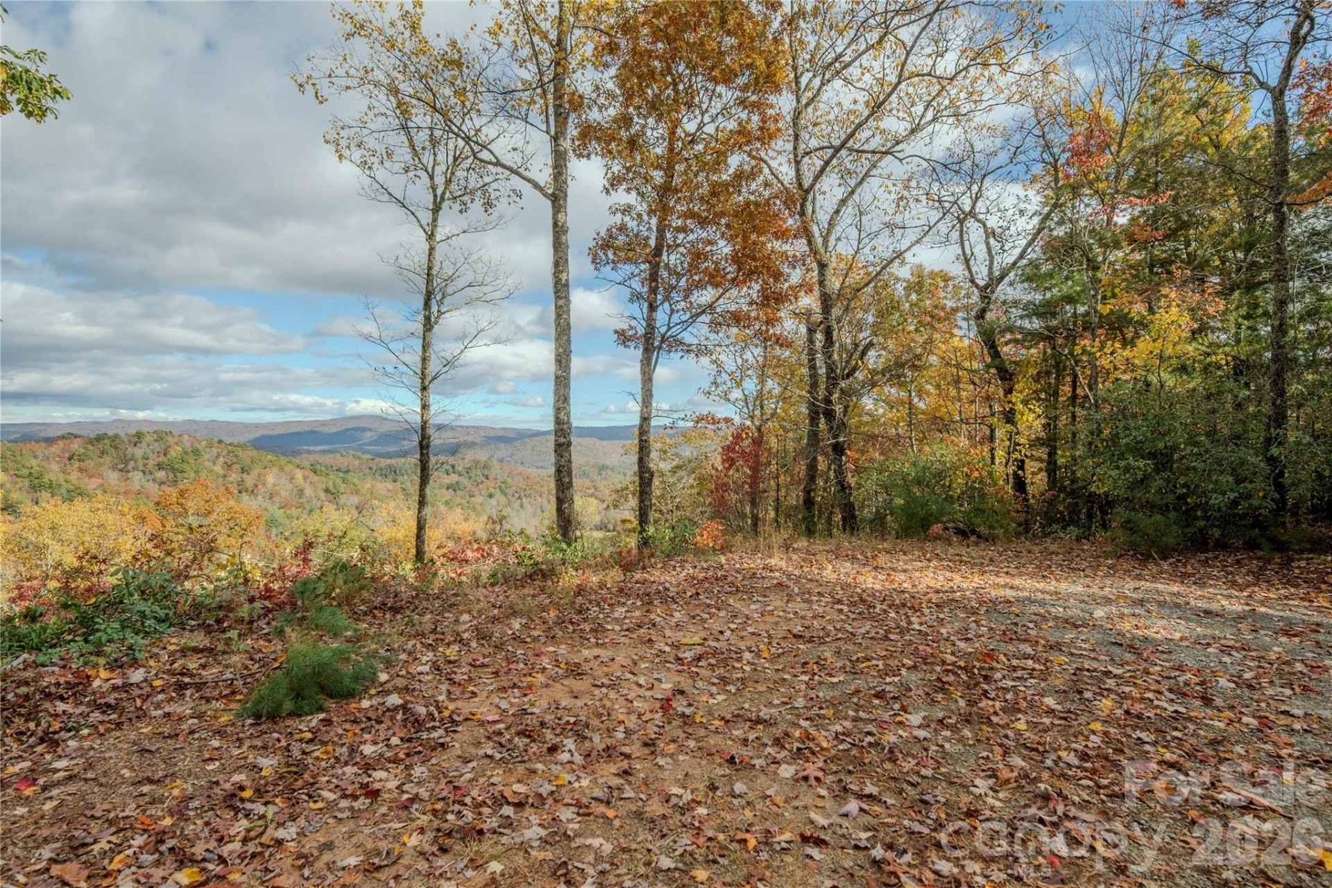 195 Still Waters Lane - Photo 46