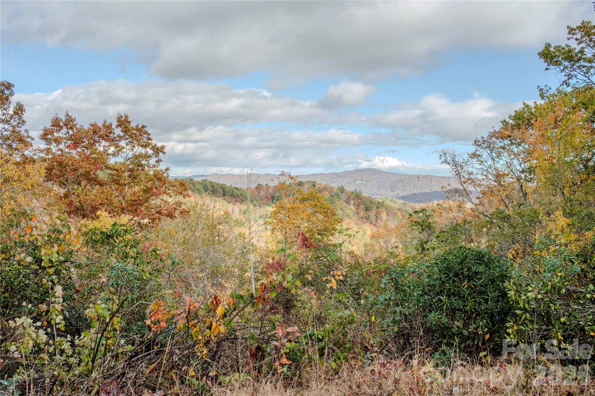 195 Still Waters Lane - Photo 47