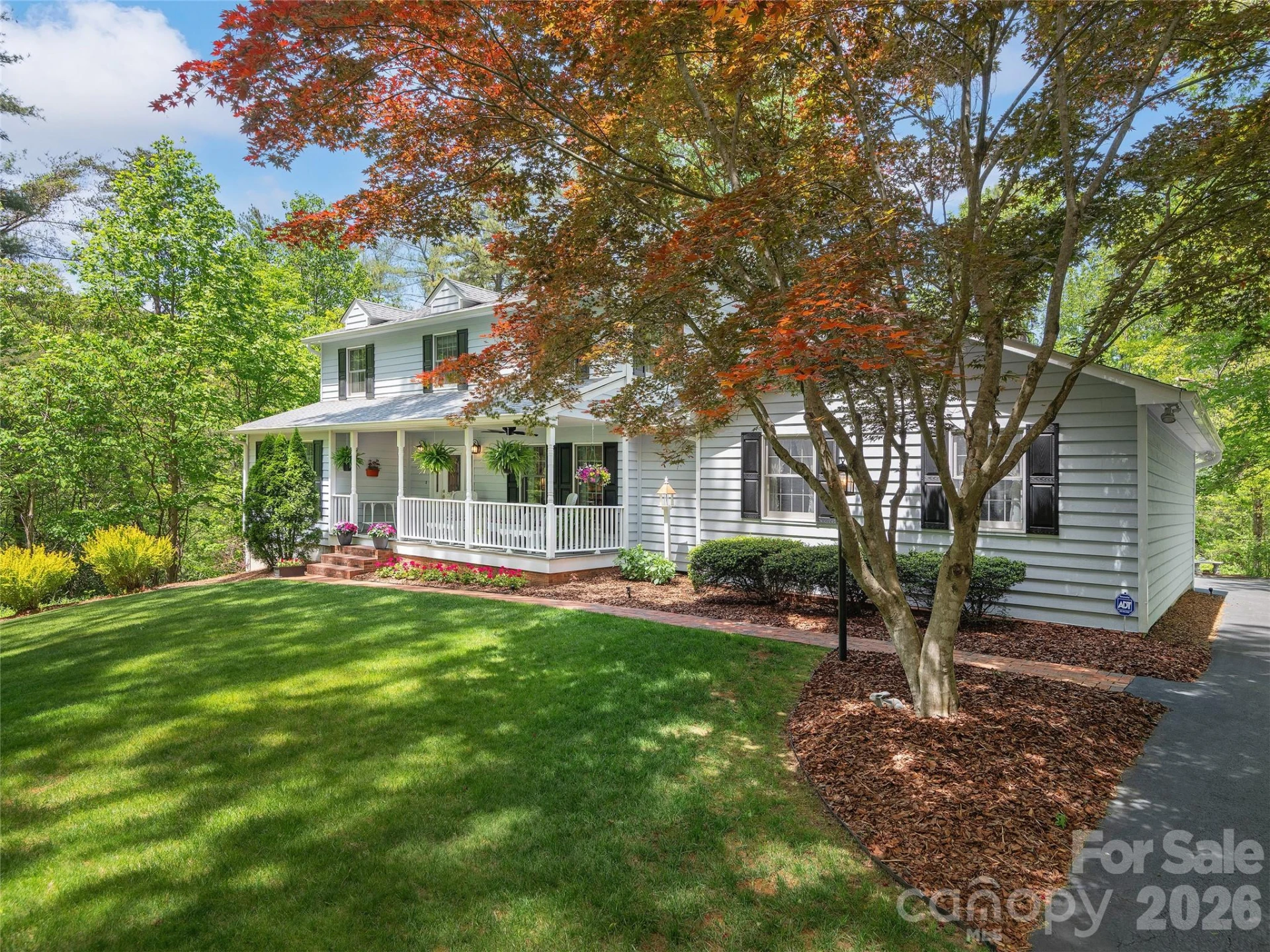 81 Old Gap Creek Road - Photo 2