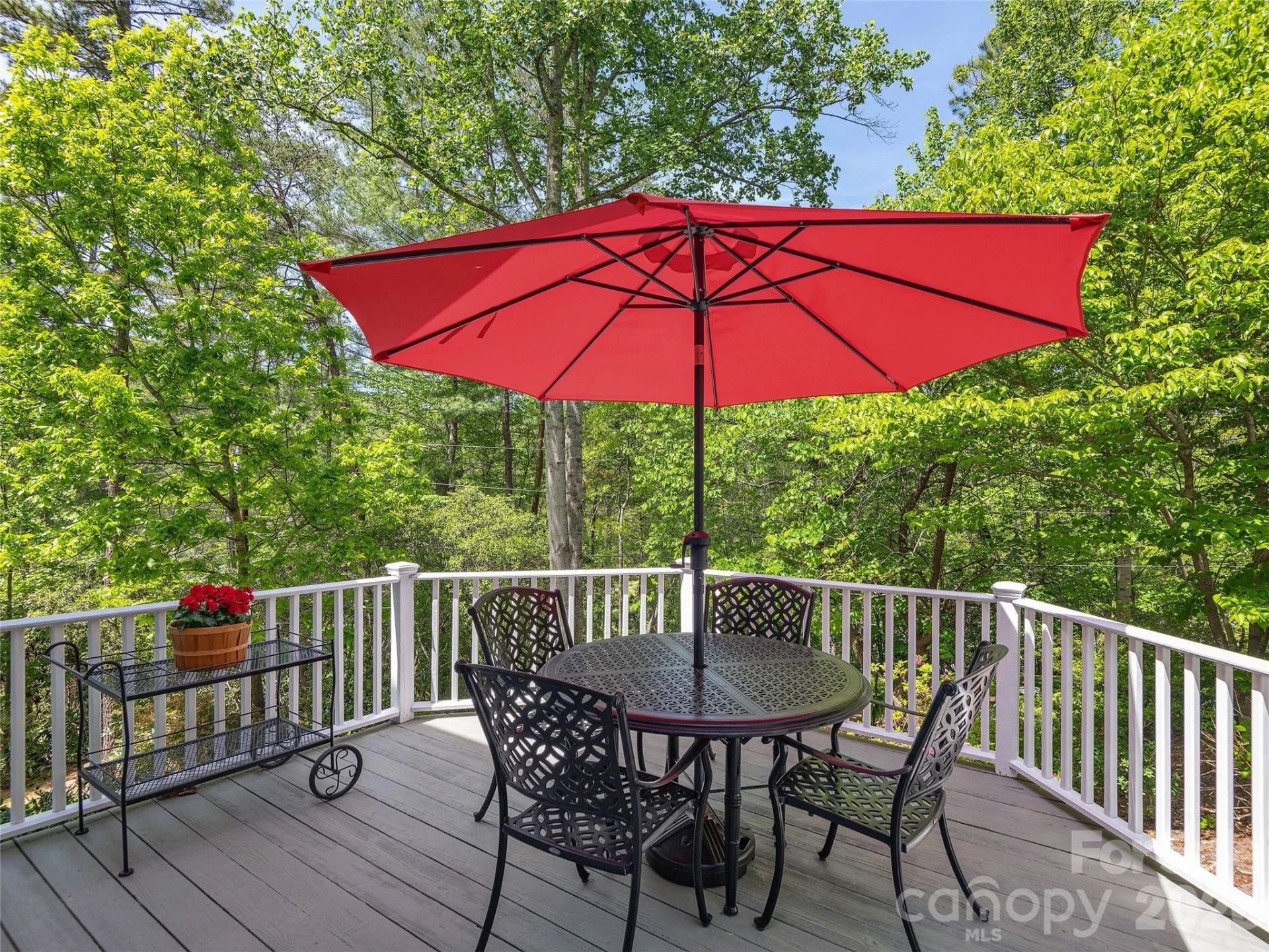 81 Old Gap Creek Road - Photo 17