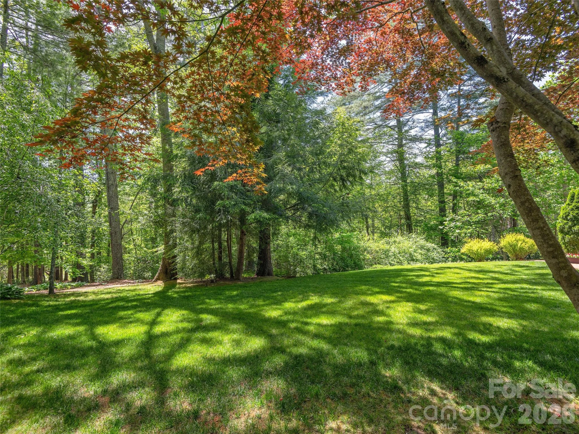 81 Old Gap Creek Road - Photo 36
