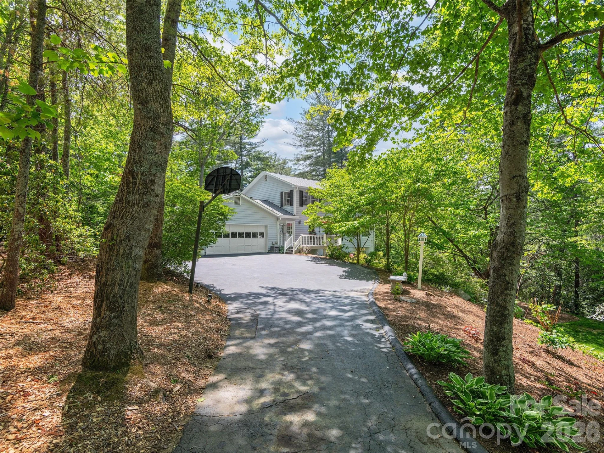 81 Old Gap Creek Road - Photo 39