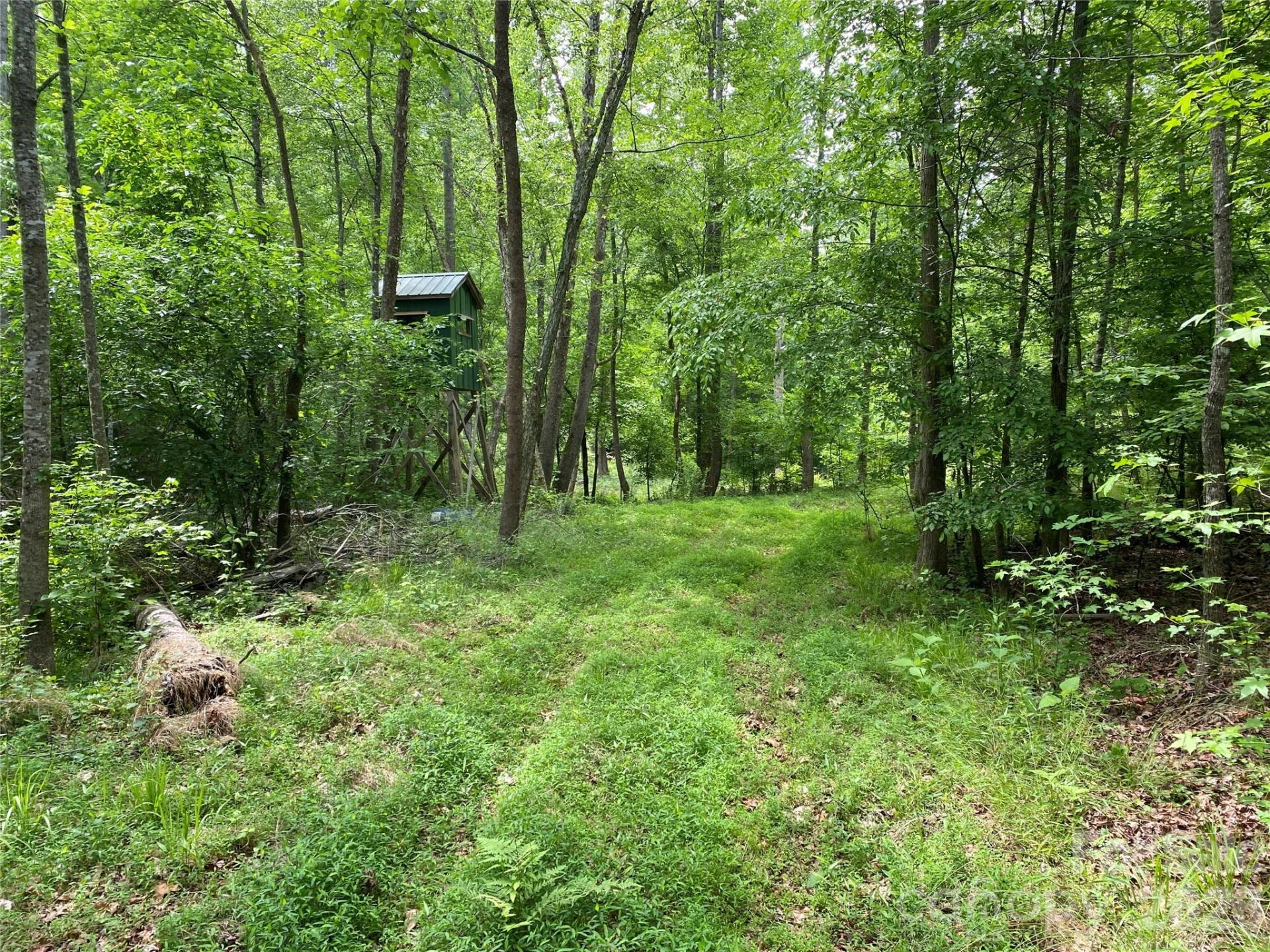 00 Kiser Road
