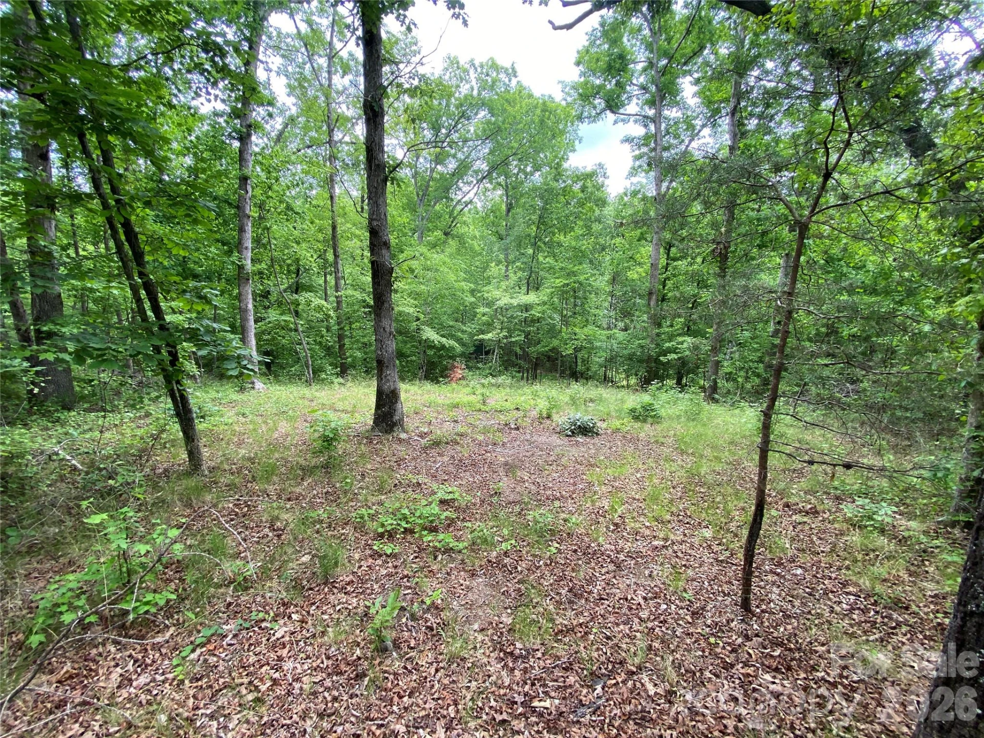 00 Kiser Road - Photo 2