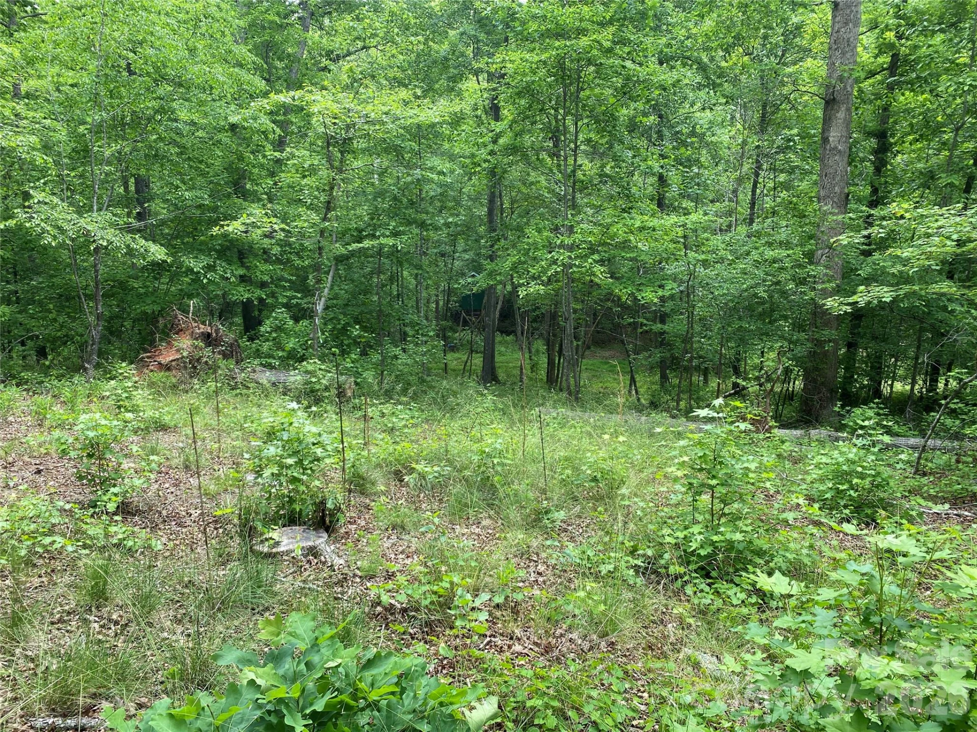 00 Kiser Road - Photo 11
