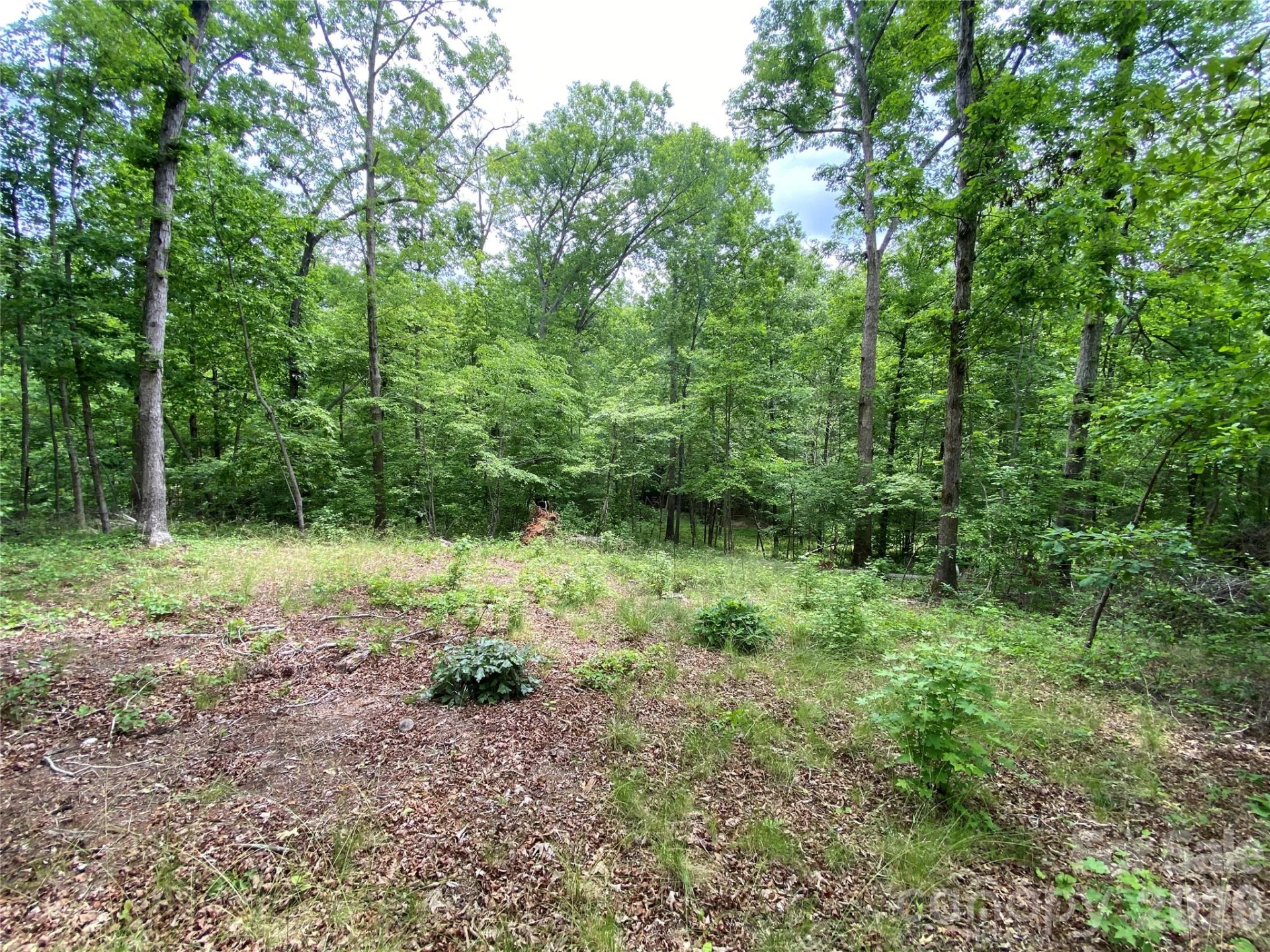 00 Kiser Road - Photo 12