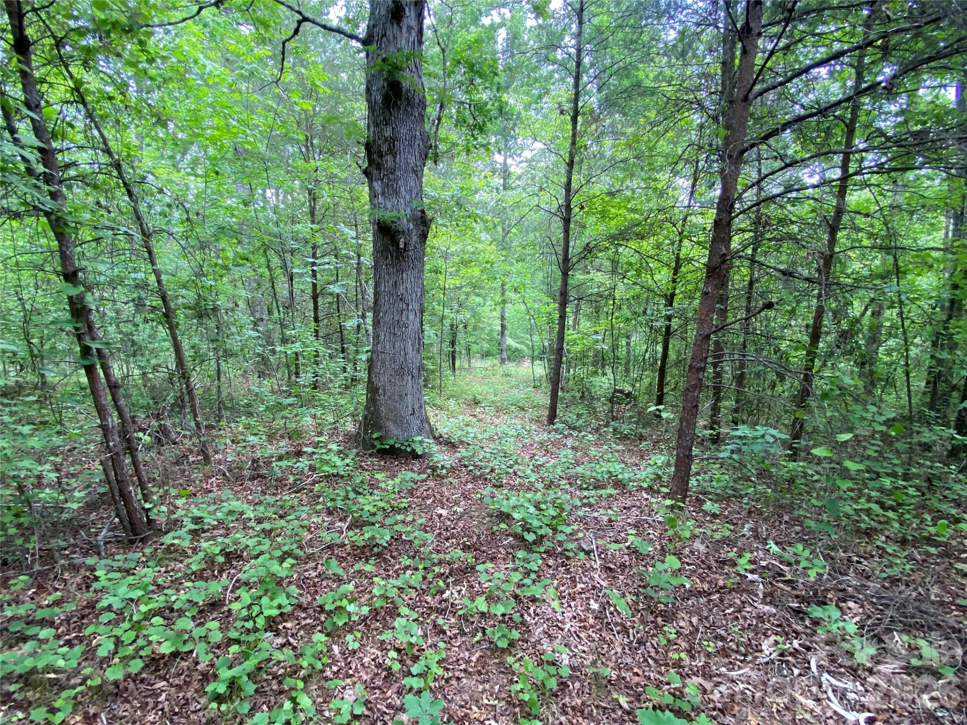 00 Kiser Road - Photo 13