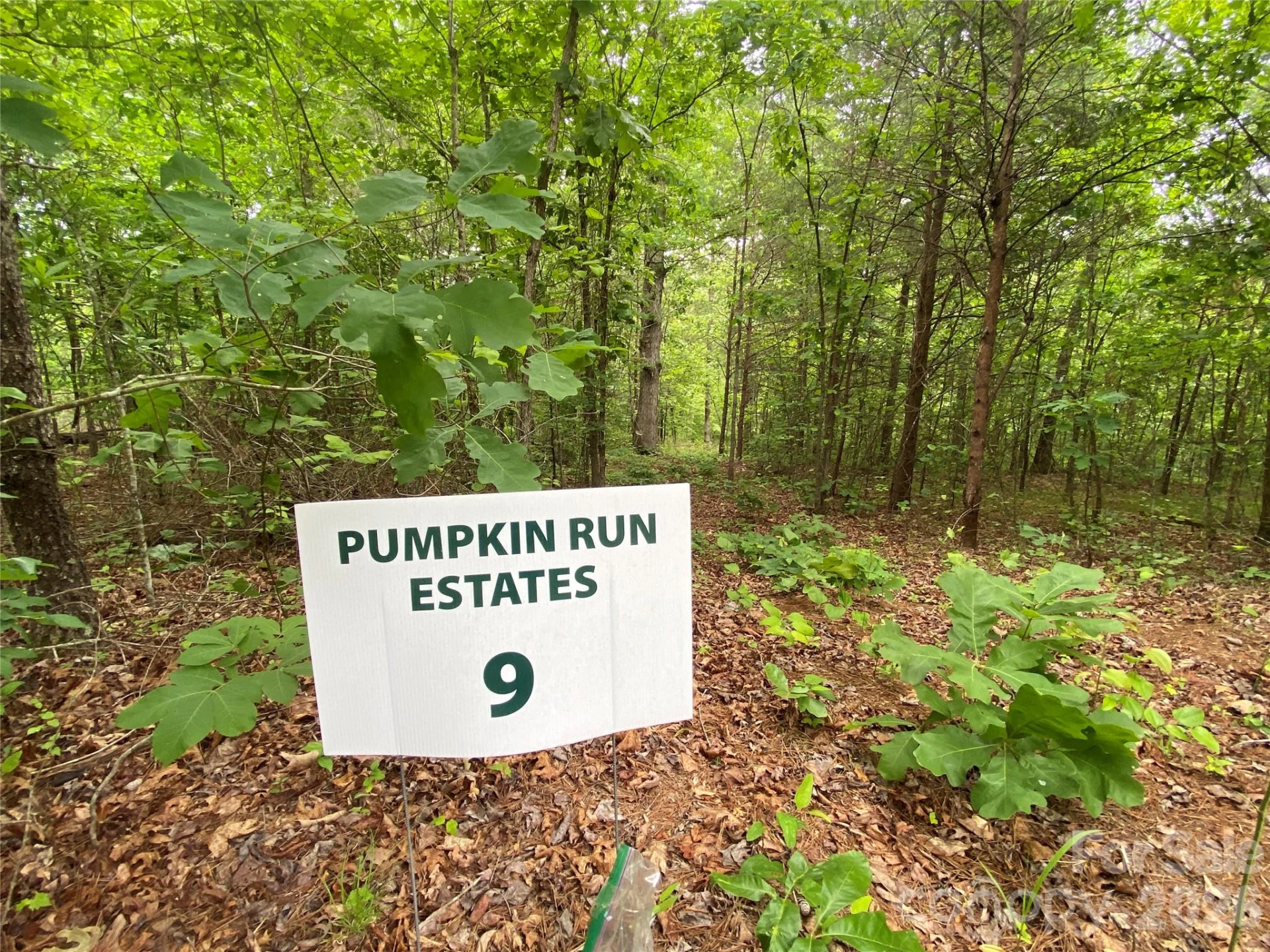 00 Kiser Road - Photo 14
