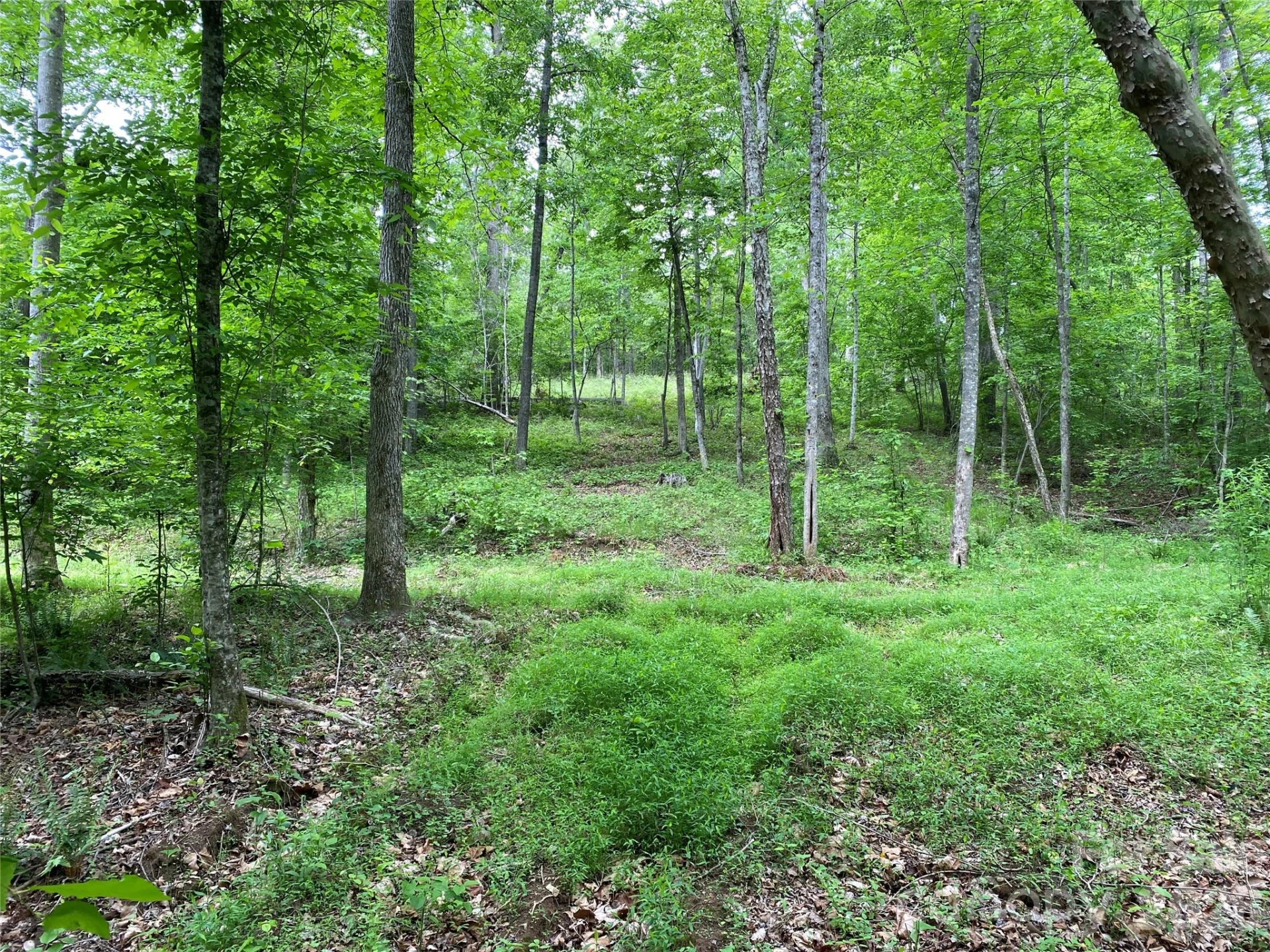 00 Kiser Road - Photo 3