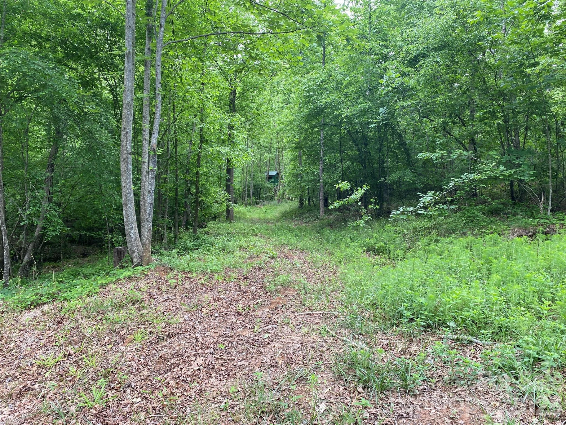 00 Kiser Road - Photo 5