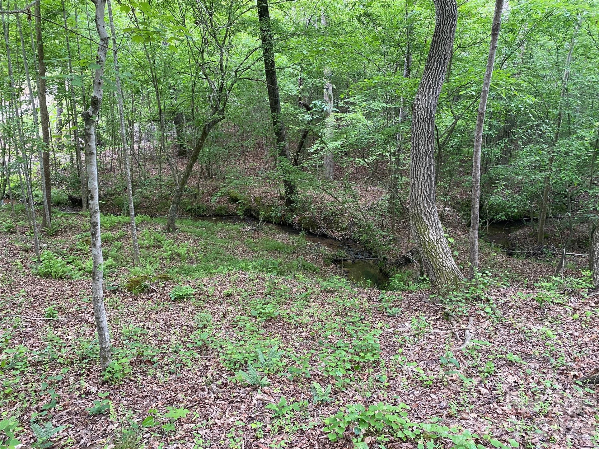 00 Kiser Road - Photo 6