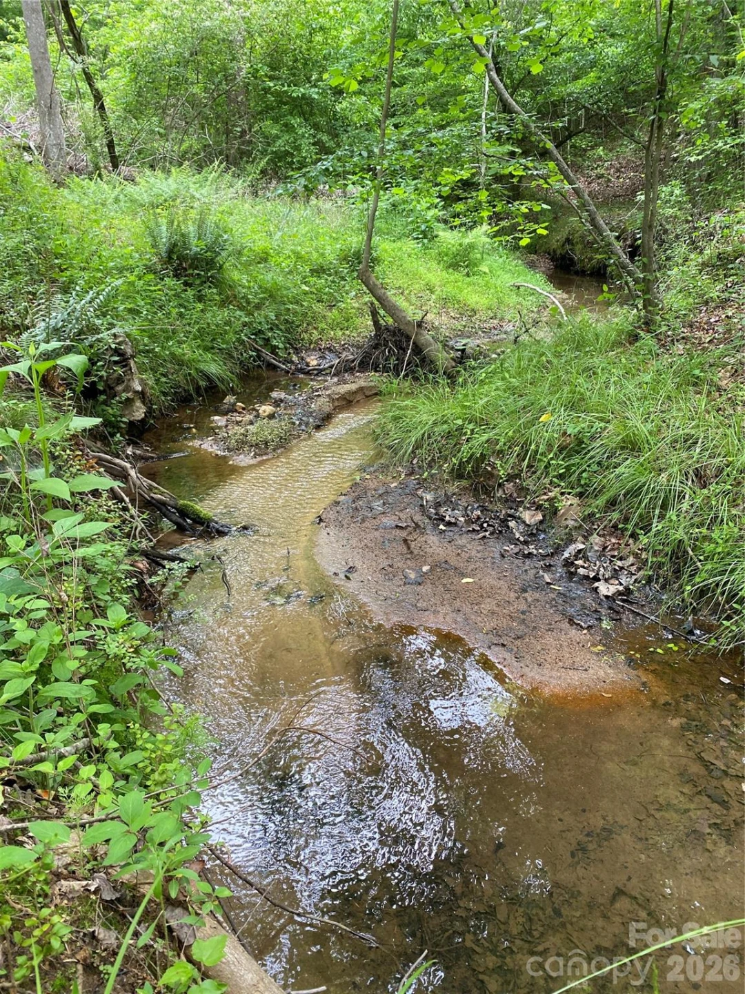 00 Kiser Road - Photo 9