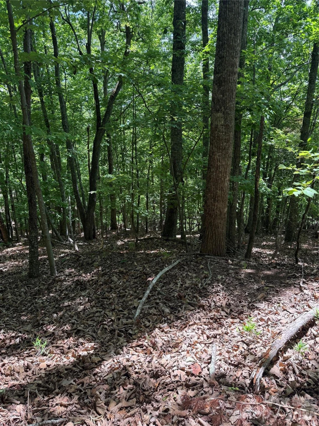 85 Adirondack Lane #85 - Photo 18
