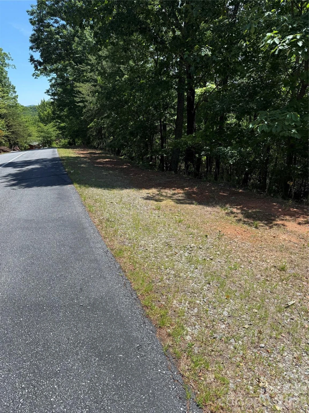 85 Adirondack Lane #85 - Photo 19