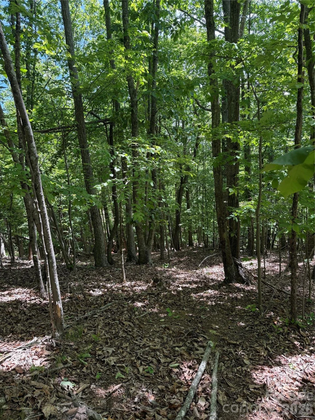 85 Adirondack Lane #85 - Photo 20