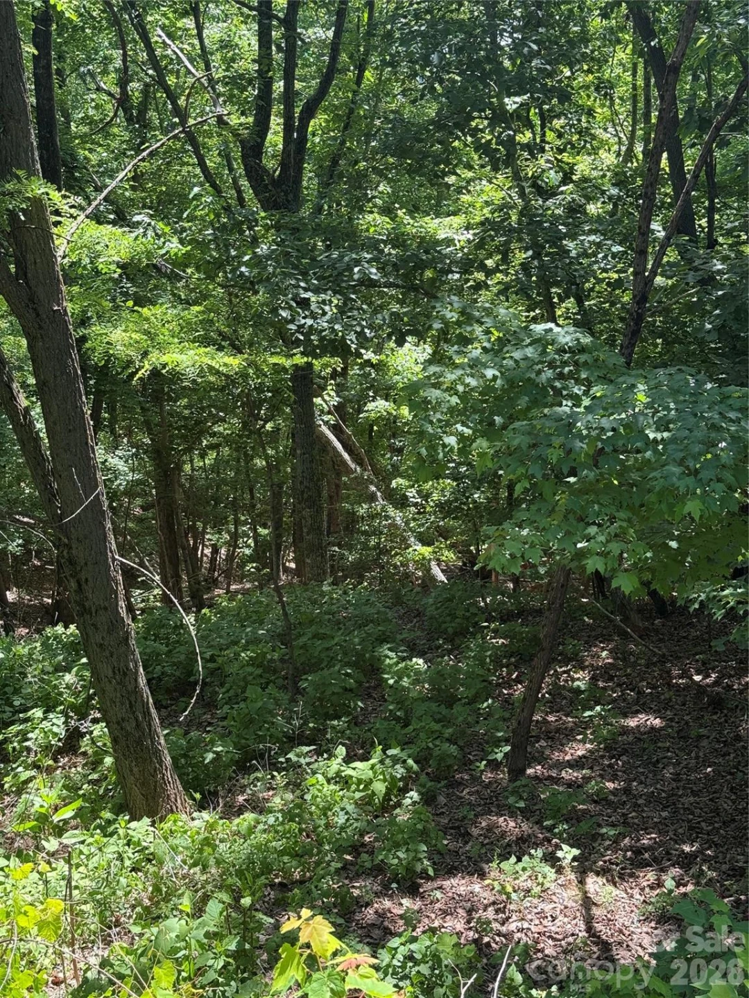 85 Adirondack Lane #85 - Photo 21