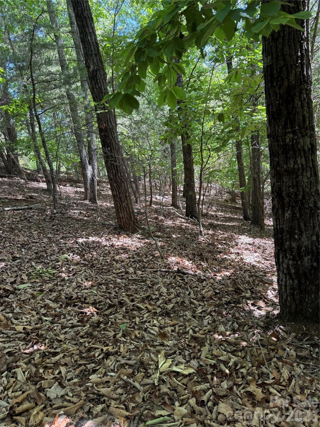 85 Adirondack Lane #85 - Photo 22
