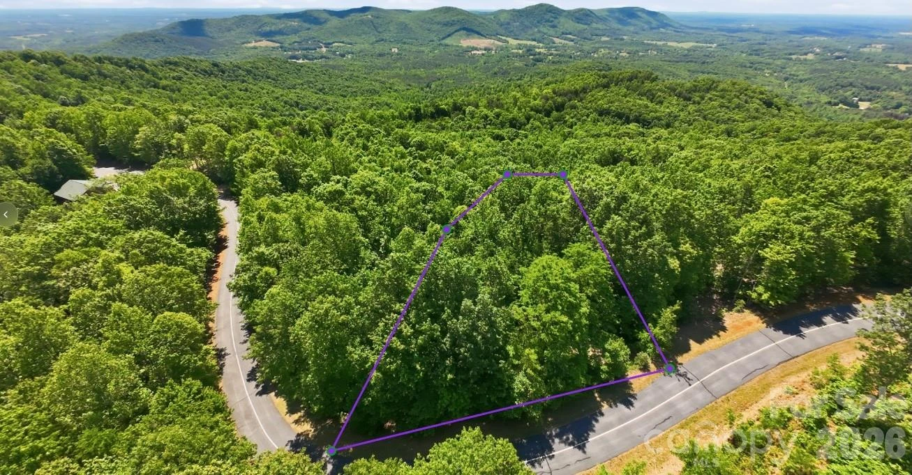 85 Adirondack Lane #85 - Photo 3