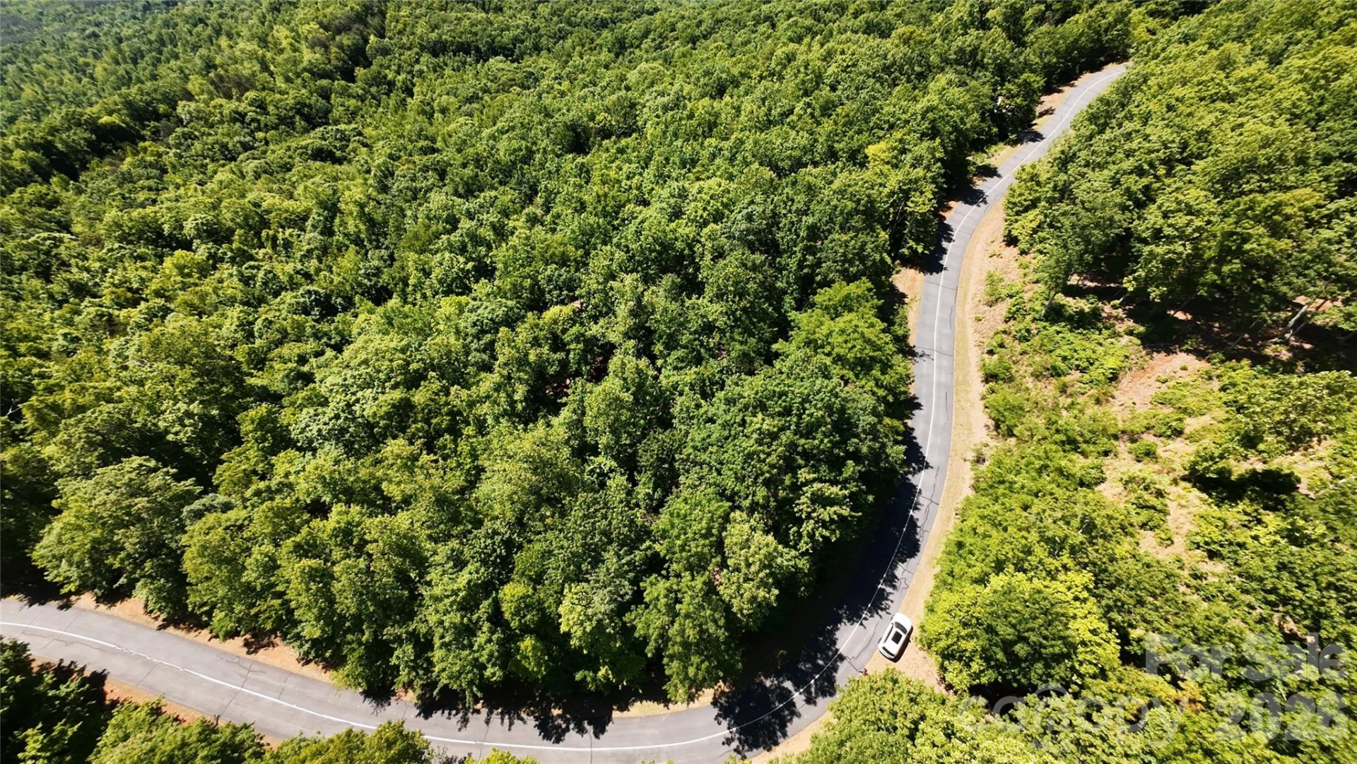85 Adirondack Lane #85 - Photo 6