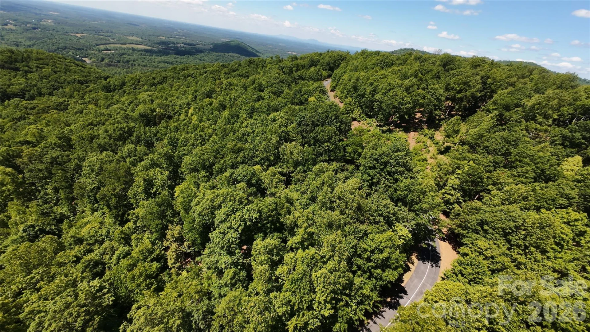 85 Adirondack Lane #85 - Photo 7