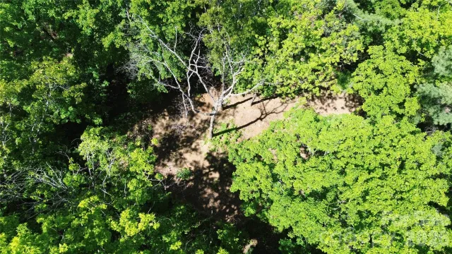 99999 Pink Fox Cove Road, Weaverville, NC, 28787