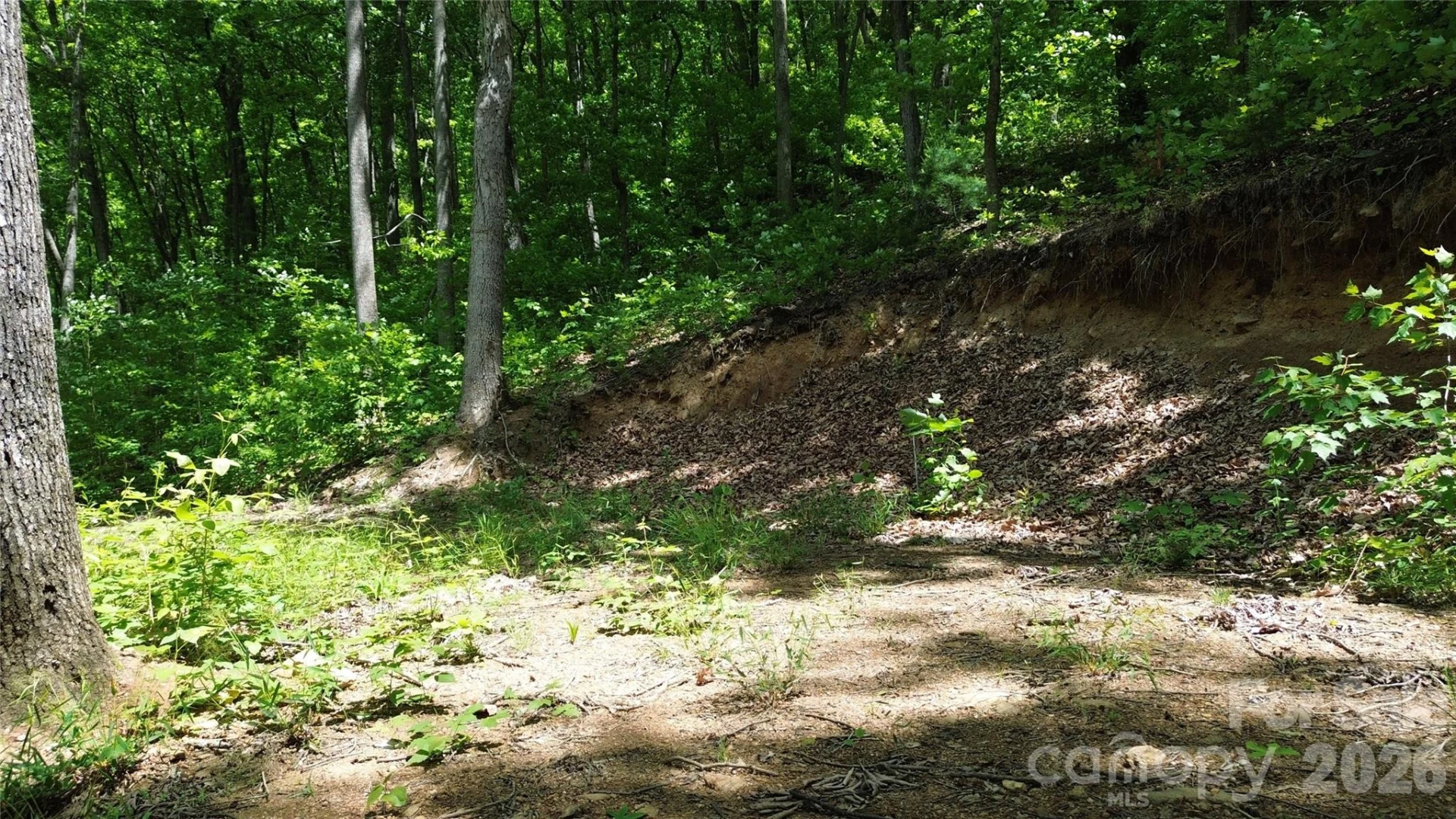 99999 Pink Fox Cove Road - Photo 12