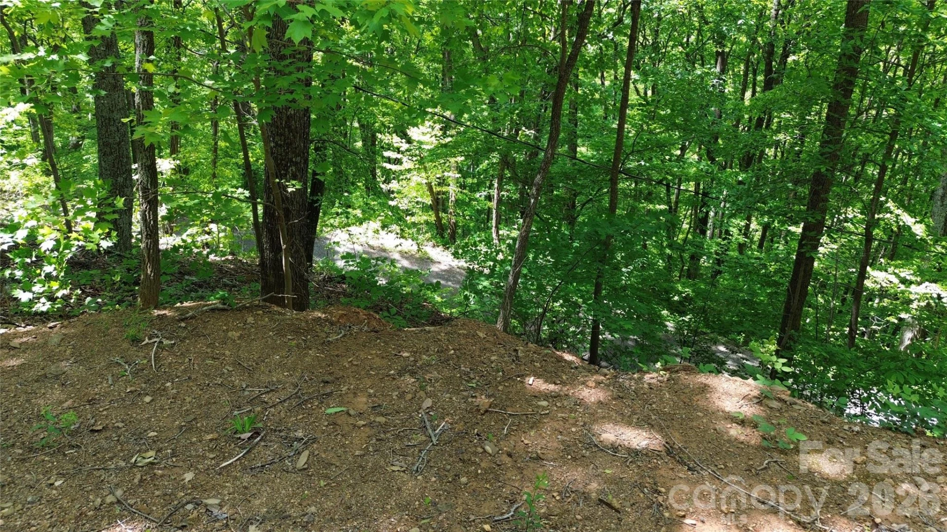 99999 Pink Fox Cove Road - Photo 14