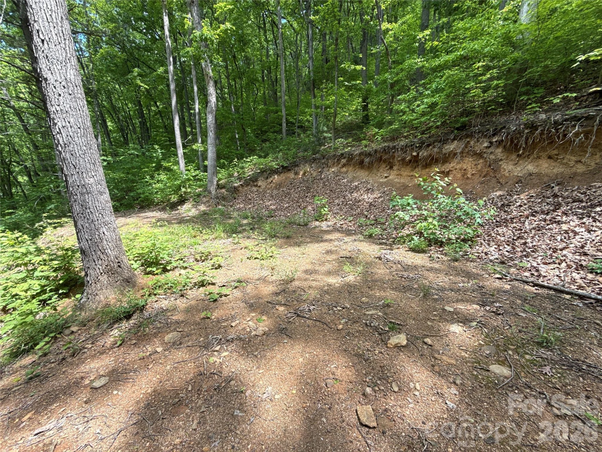 99999 Pink Fox Cove Road - Photo 16