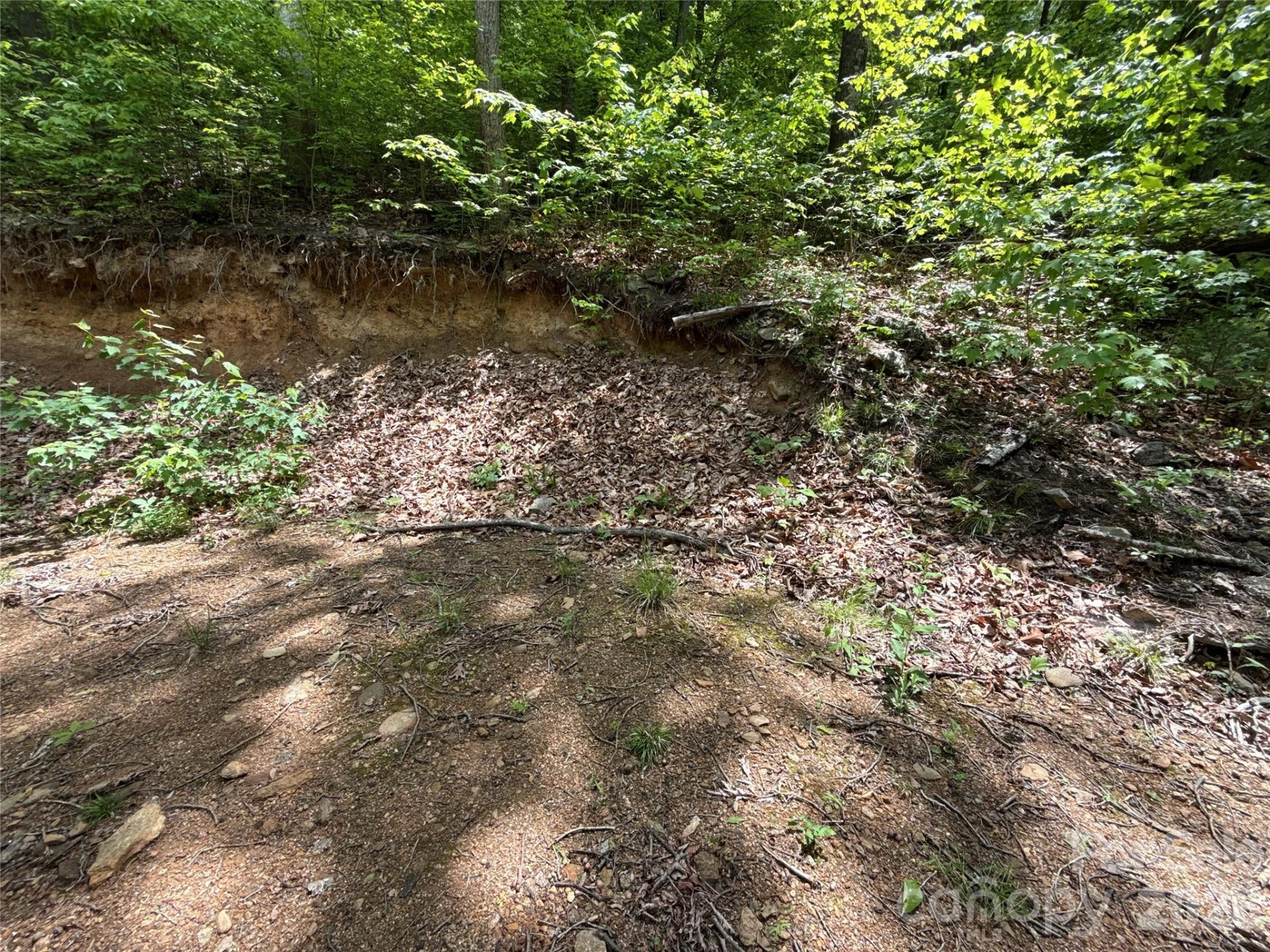 99999 Pink Fox Cove Road - Photo 17