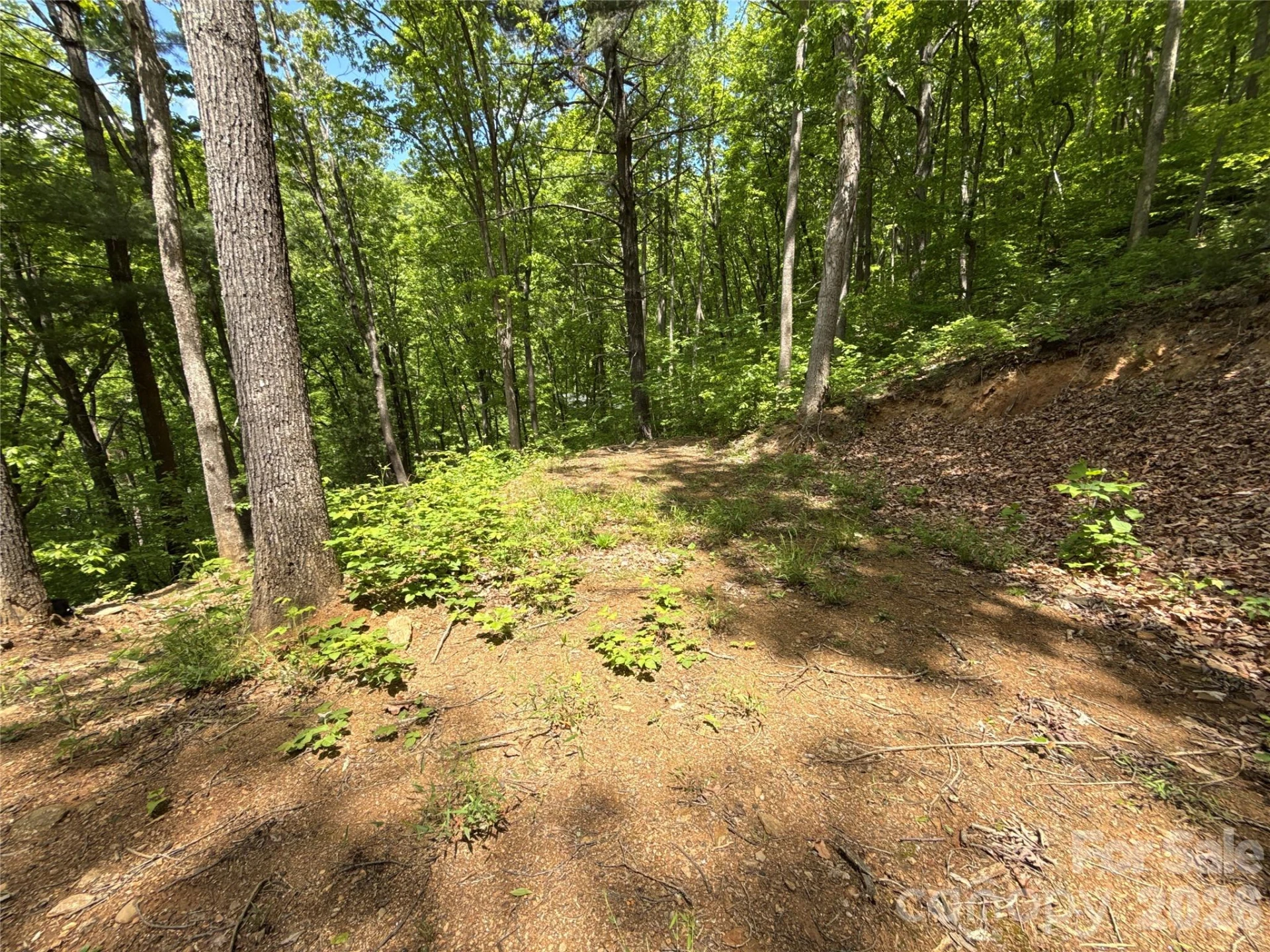 99999 Pink Fox Cove Road - Photo 18