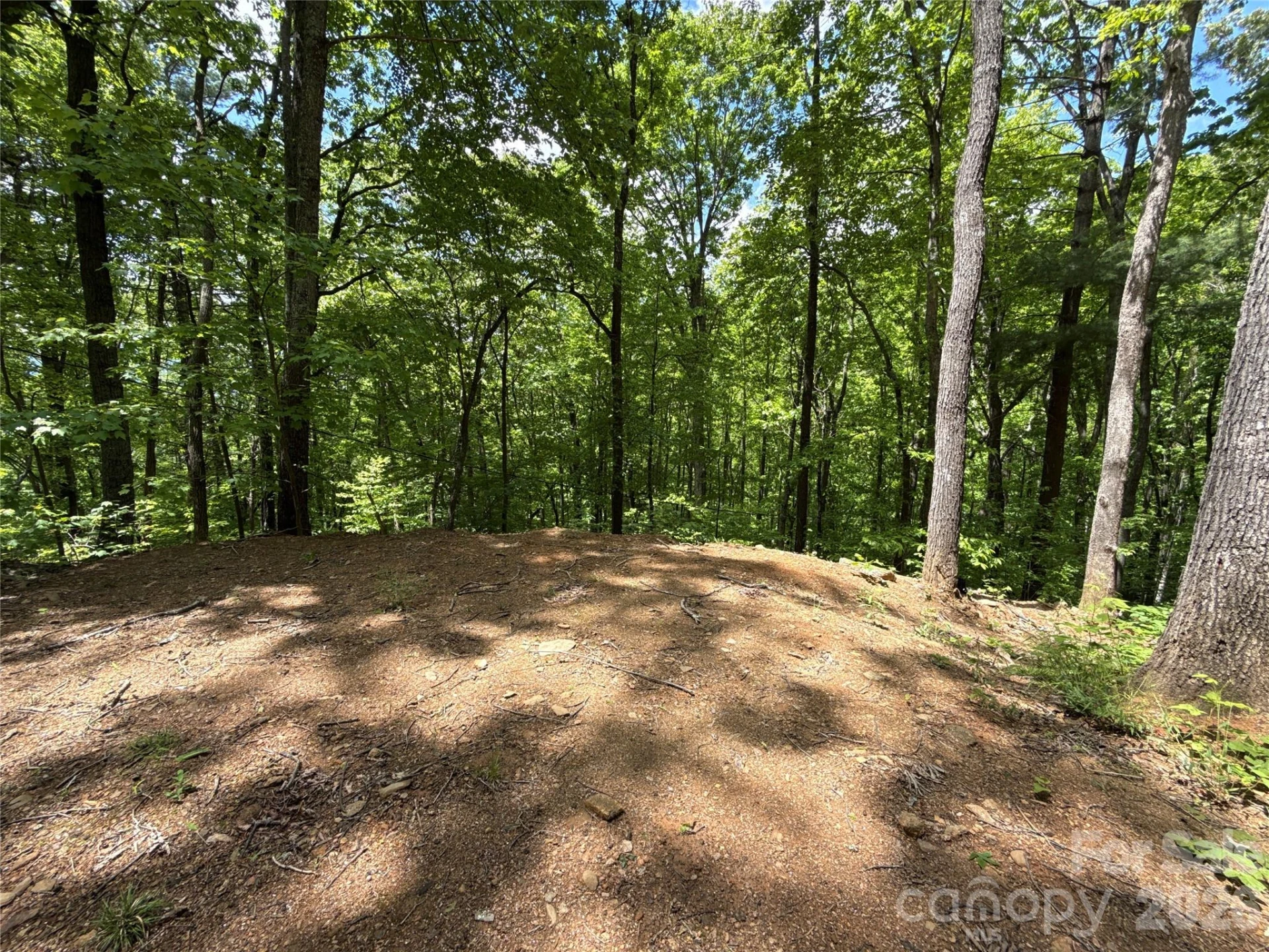 99999 Pink Fox Cove Road - Photo 19