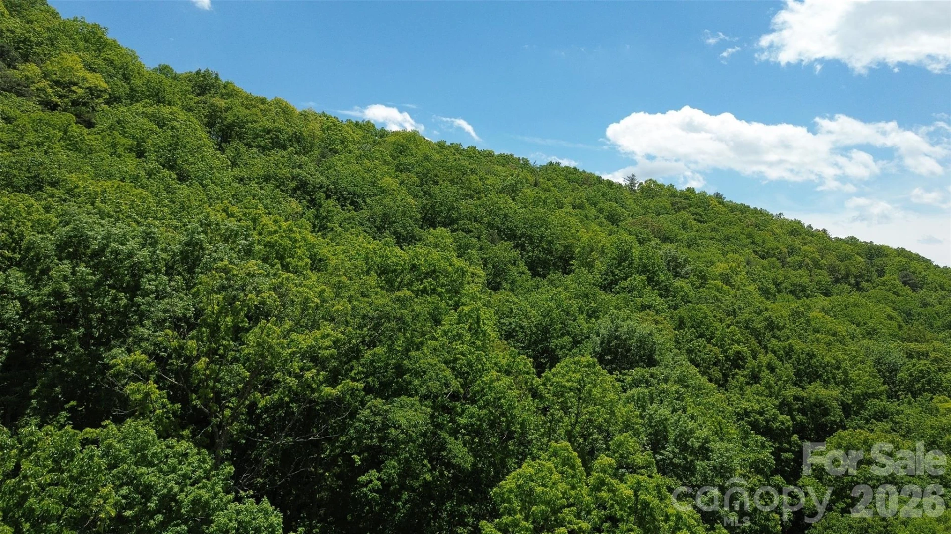 99999 Pink Fox Cove Road - Photo 3