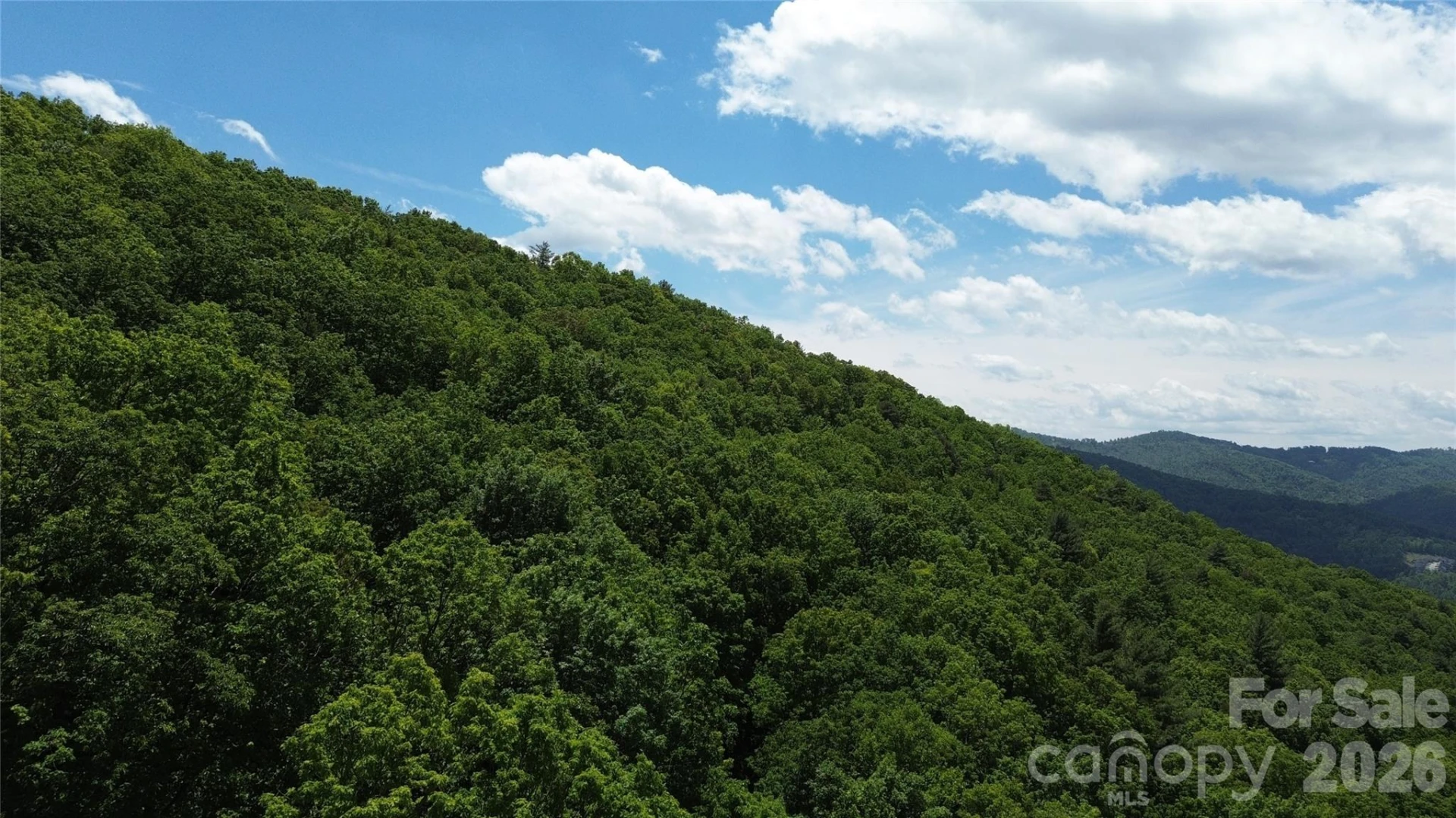 99999 Pink Fox Cove Road - Photo 5
