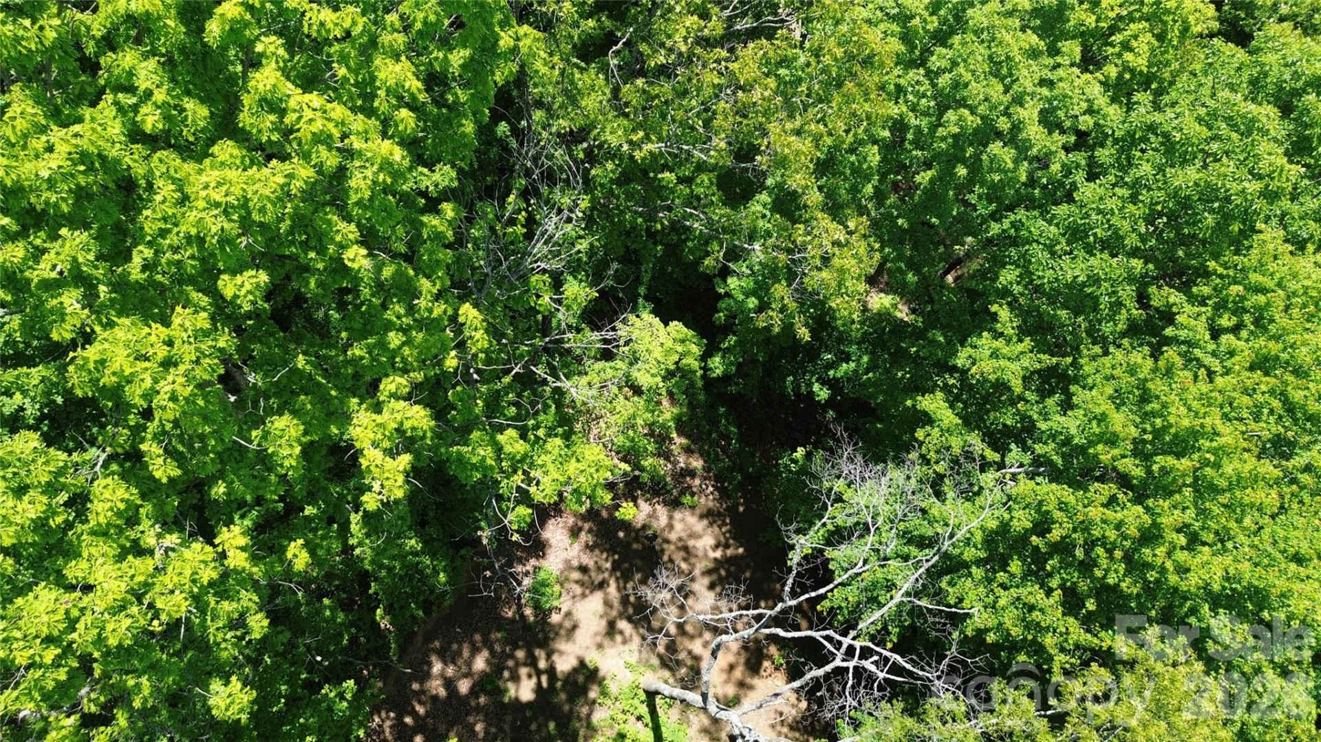 99999 Pink Fox Cove Road - Photo 6