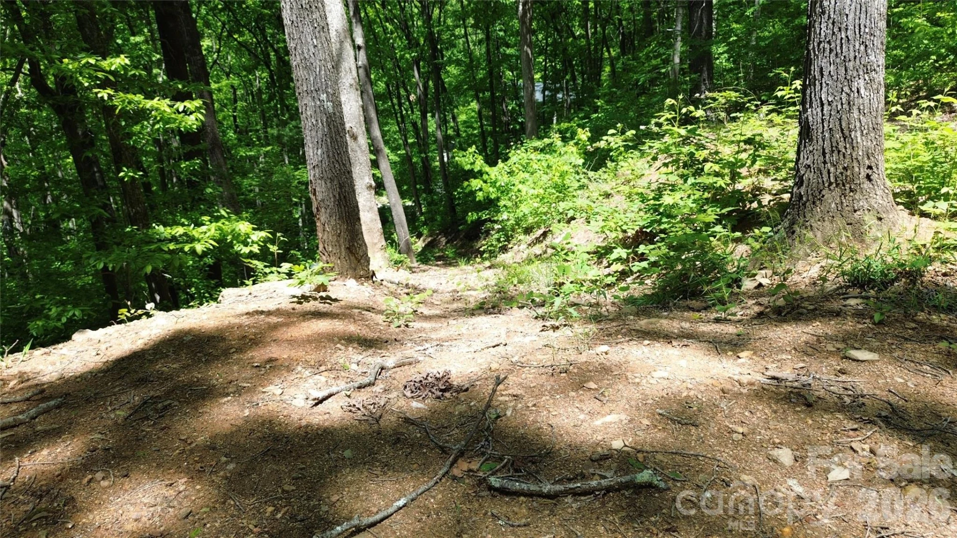 99999 Pink Fox Cove Road - Photo 7