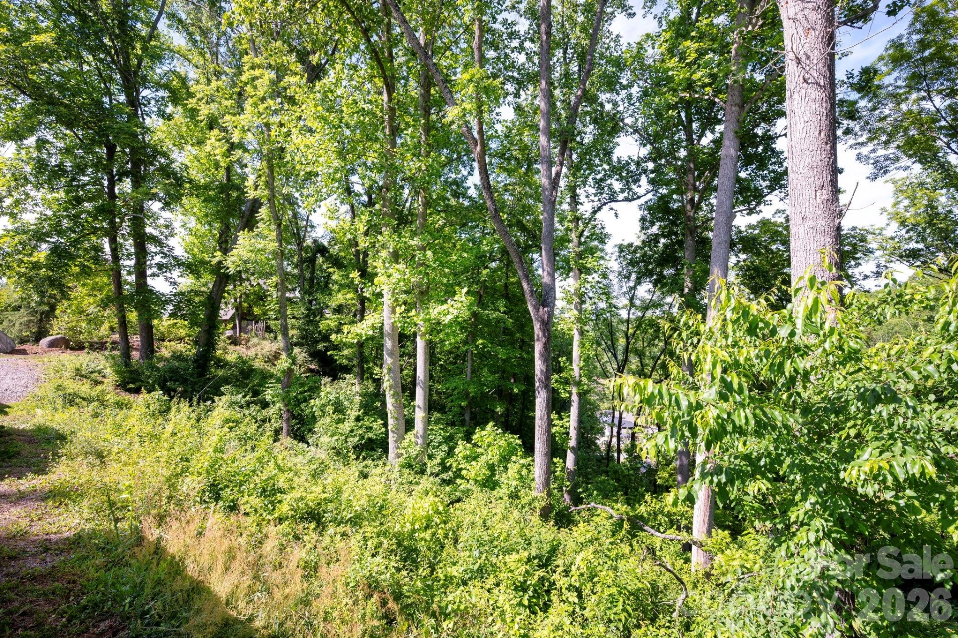 17 Tulip Poplar Trail #30 - Photo 11
