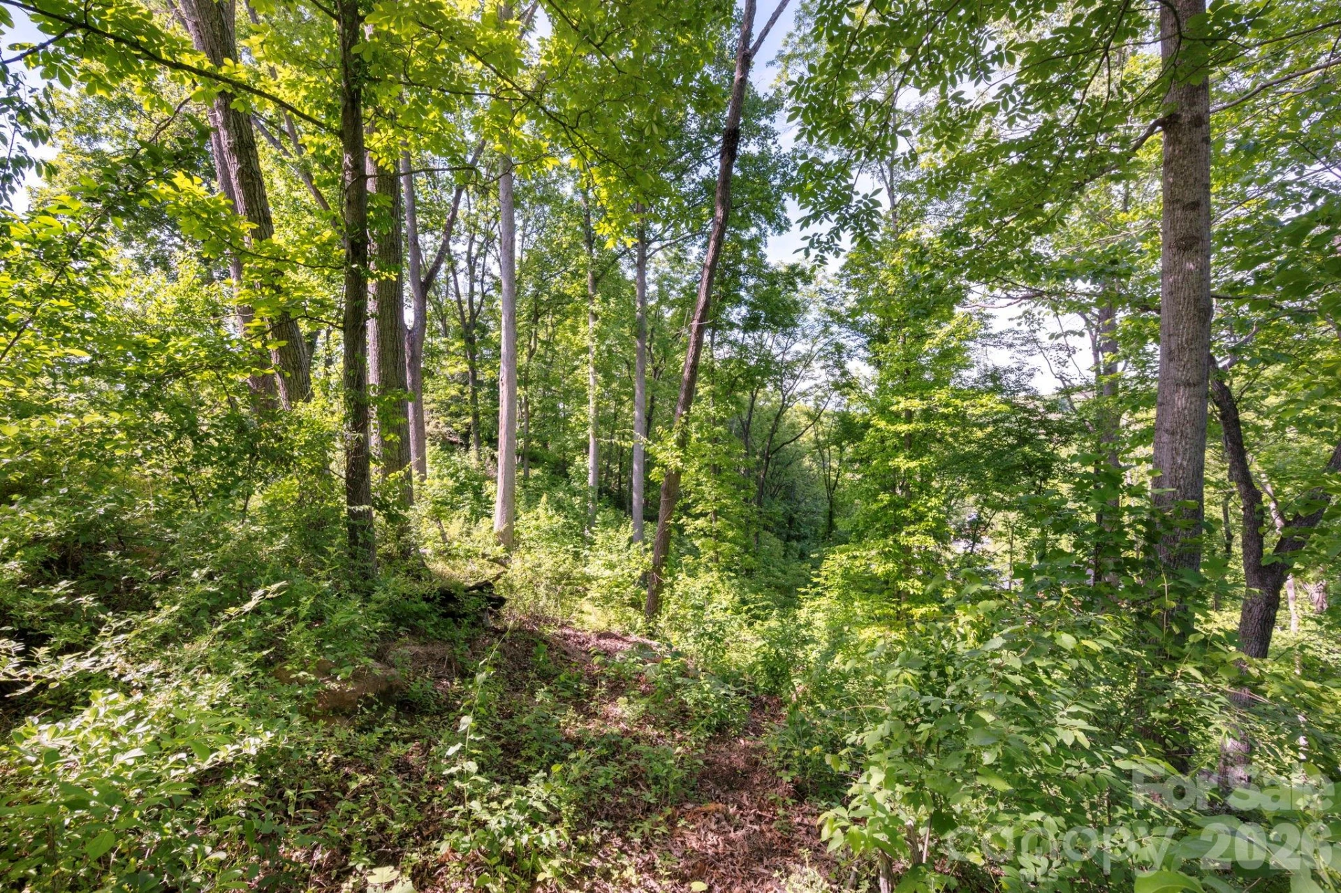 17 Tulip Poplar Trail #30 - Photo 5