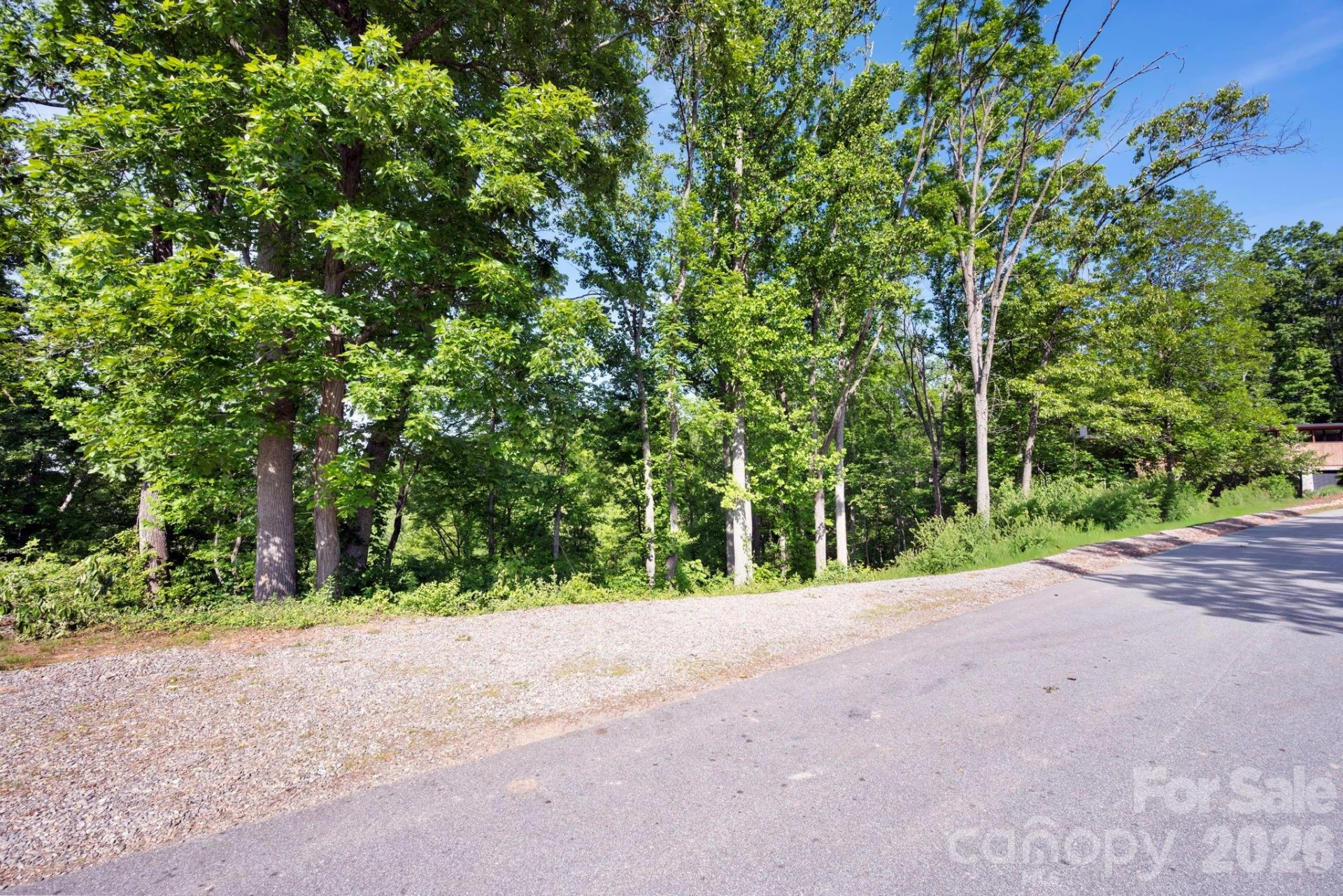 17 Tulip Poplar Trail #30 - Photo 6