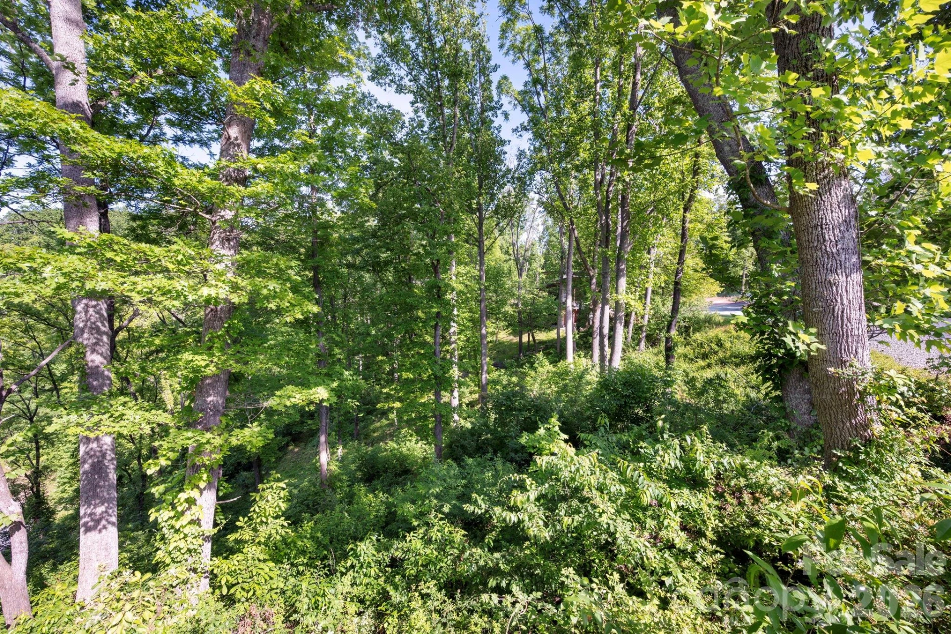 17 Tulip Poplar Trail #30 - Photo 7