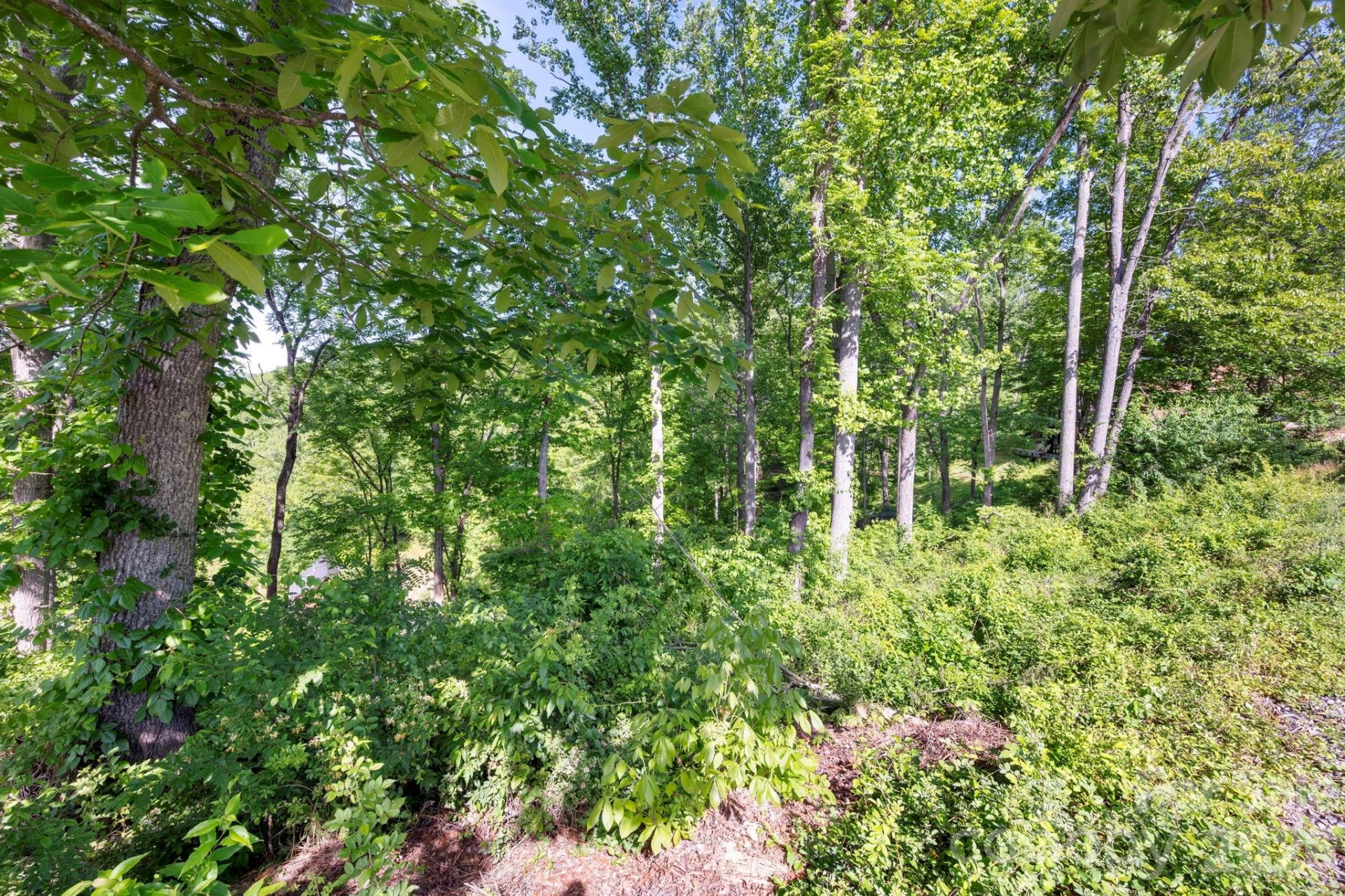 17 Tulip Poplar Trail #30 - Photo 8
